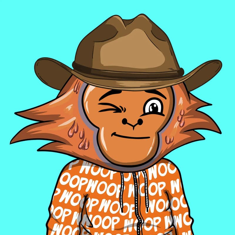 WOOP Memes